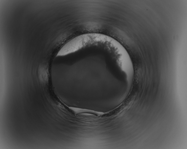 X0000092060644200710031101