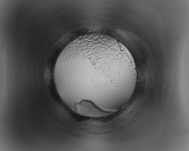 X0000092060648200710031101