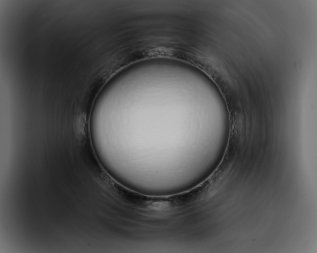 X0000092060649200710031101