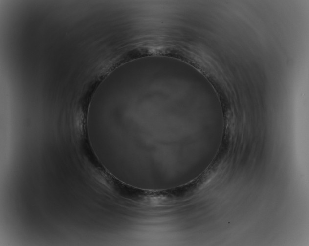 X0000092060650200710031101