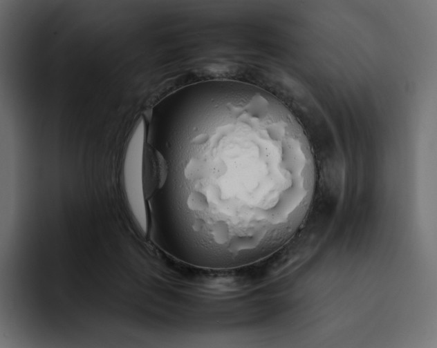 X0000092060651200710031101