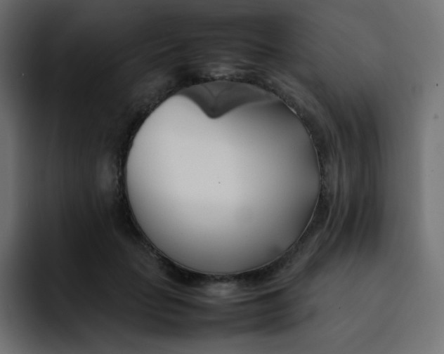 X0000092060653200710031101