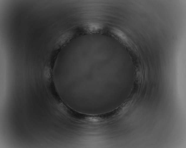 X0000092060654200710031101