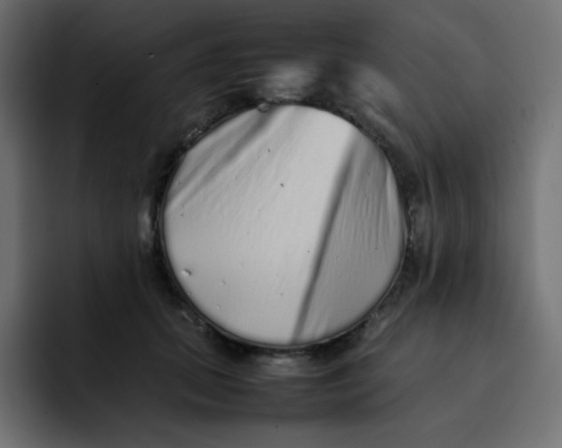 X0000092060655200710031101