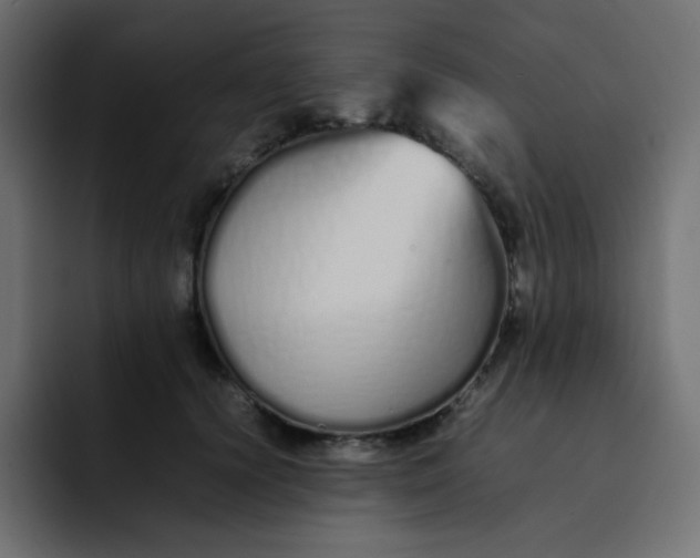 X0000092060656200710031101