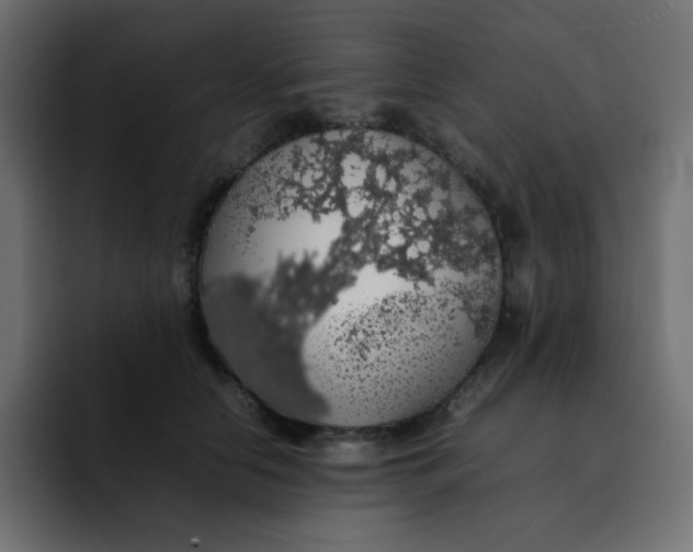 X0000092060658200710031101