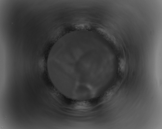 X0000092060659200710031101