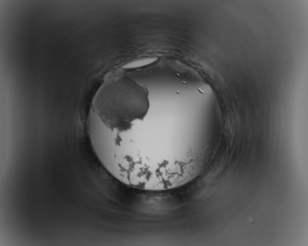 X0000092060661200710031101