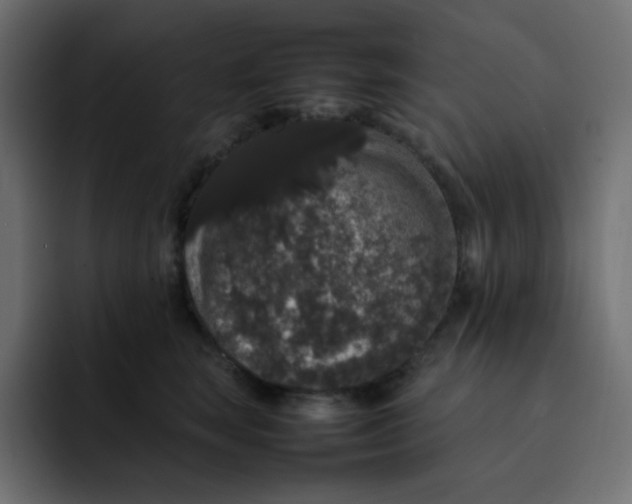 X0000092060663200710031101