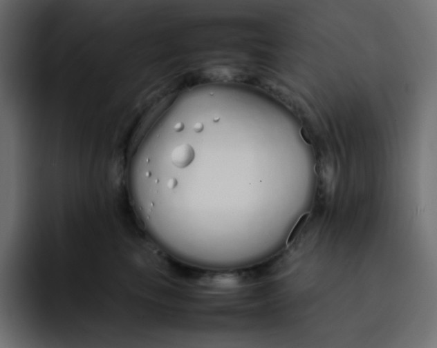 X0000092060665200710031101