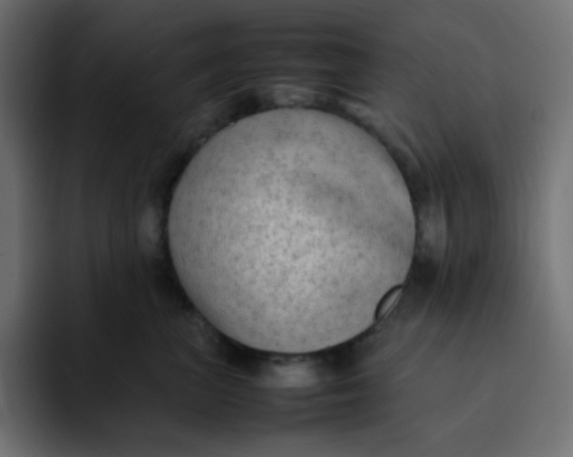 X0000092060667200710031101