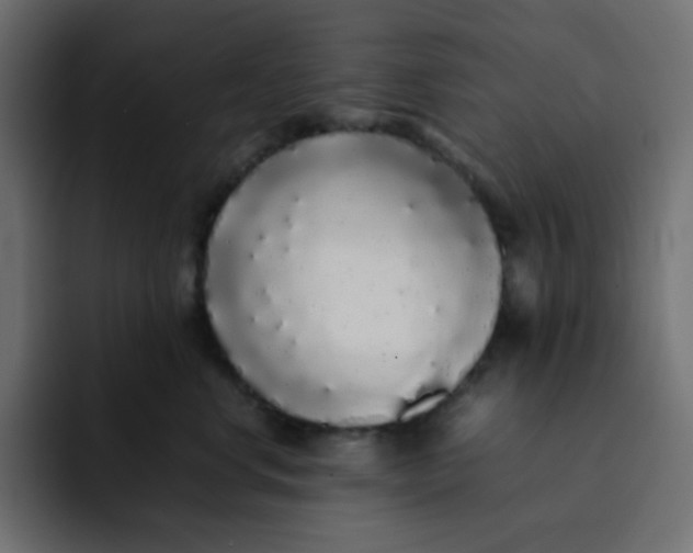 X0000092060668200710031101