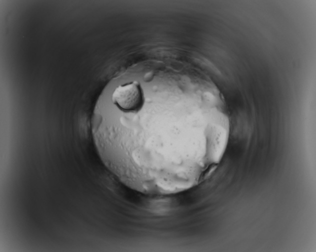 X0000092060669200710031101