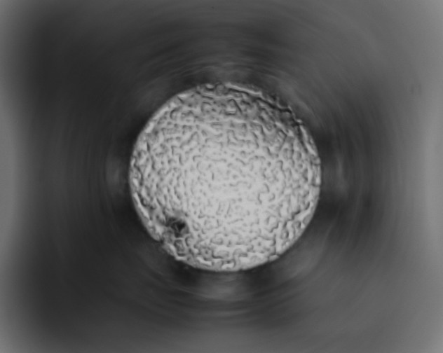 X0000092060671200710031101