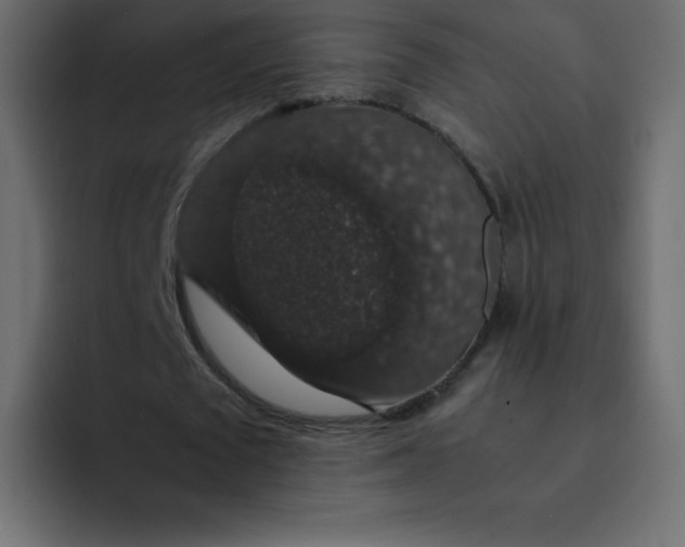 X0000092060673200710031101