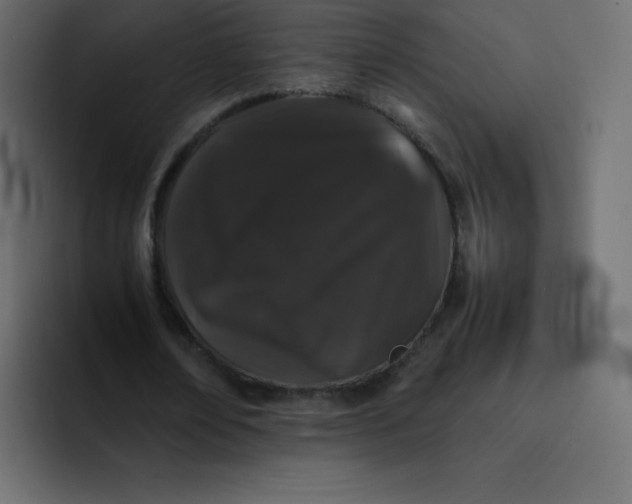 X0000092060674200710031101