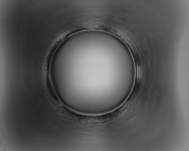 X0000092060675200710031101