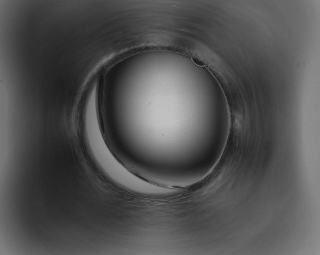 X0000092060676200710031101