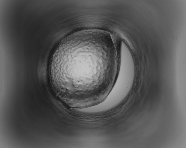 X0000092060677200710031101