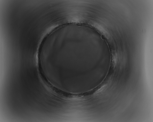 X0000092060678200710031101