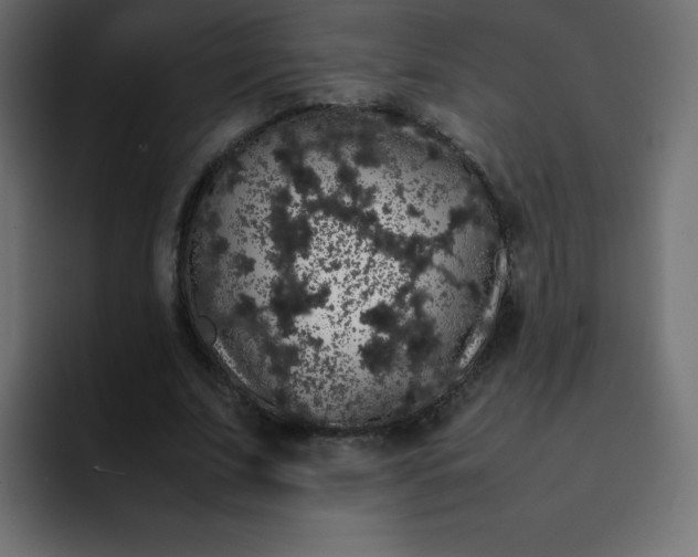 X0000092060679200710031101