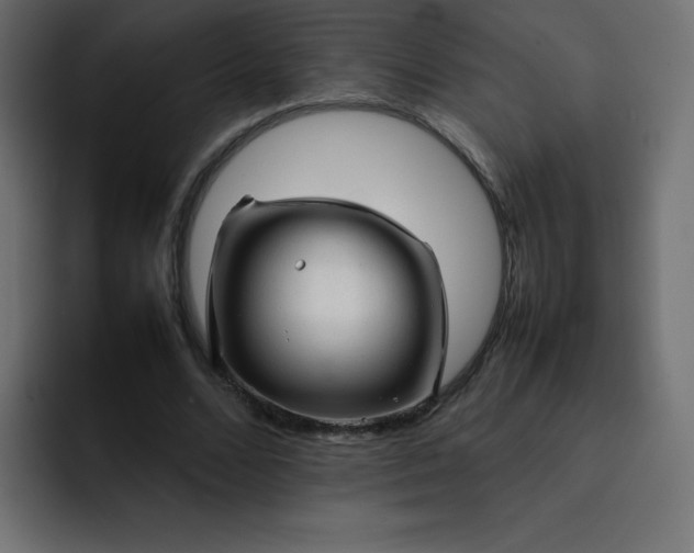 X0000092060680200710031101