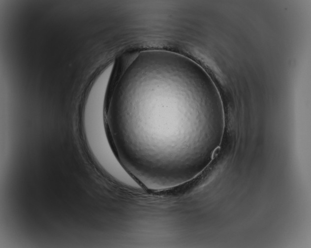 X0000092060681200710031101