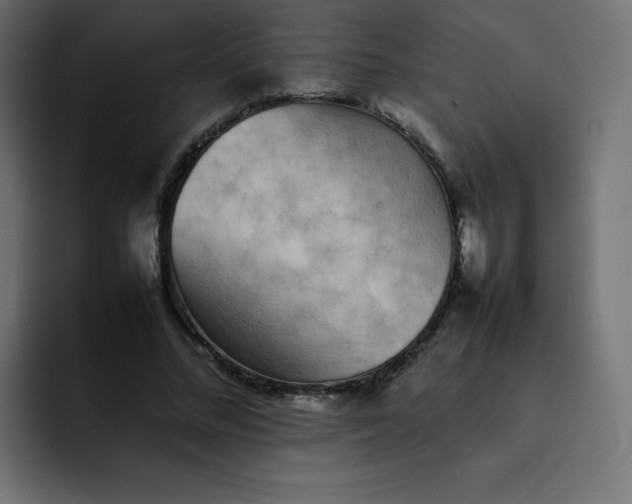 X0000092060684200710031101