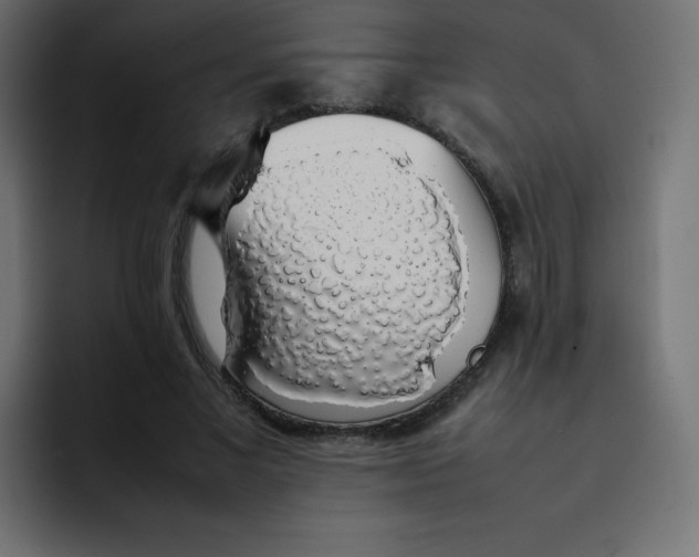 X0000092060685200710031101