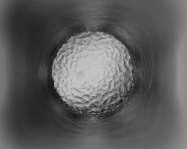 X0000092060687200710031101