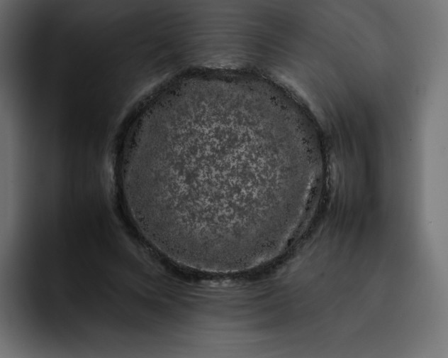 X0000092060688200710031101