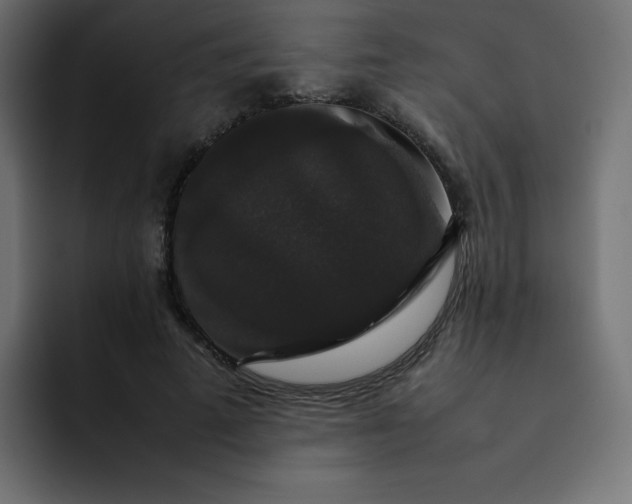 X0000092060689200710031101