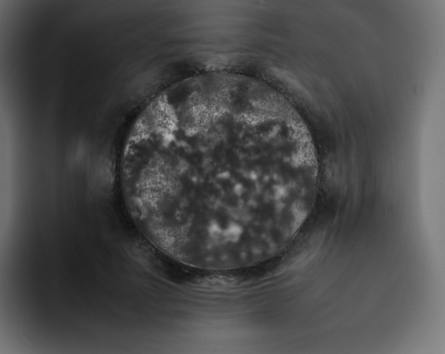 X0000092060691200710031101