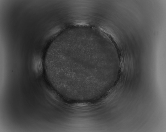 X0000092060692200710031101