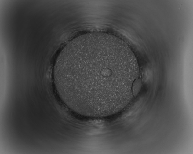 X0000092060695200710031101