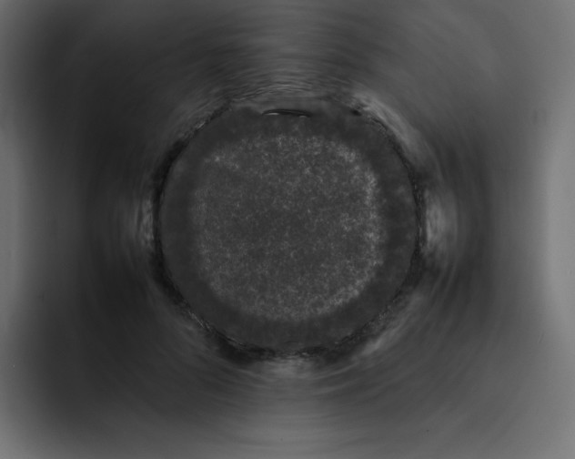 X0000092060696200710031101