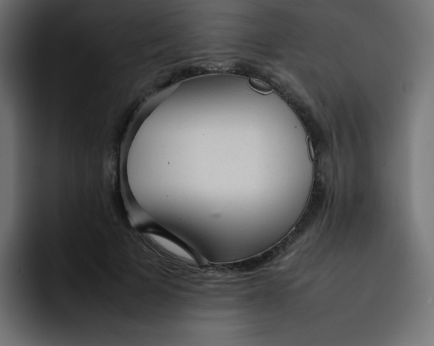 X0000092060697200710031101