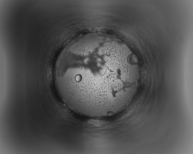 X0000092060699200710031101