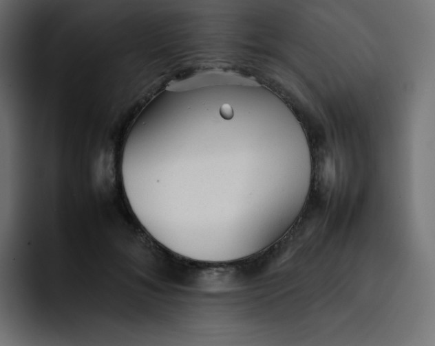 X0000092060700200710031101