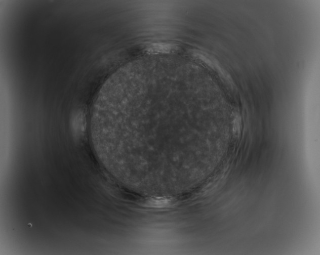 X0000092060701200710031101