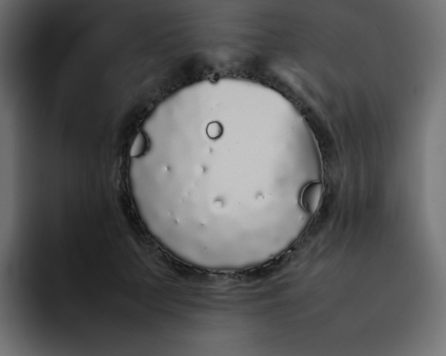 X0000092060703200710031101