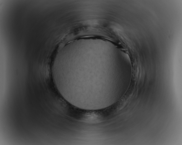 X0000092060704200710031101