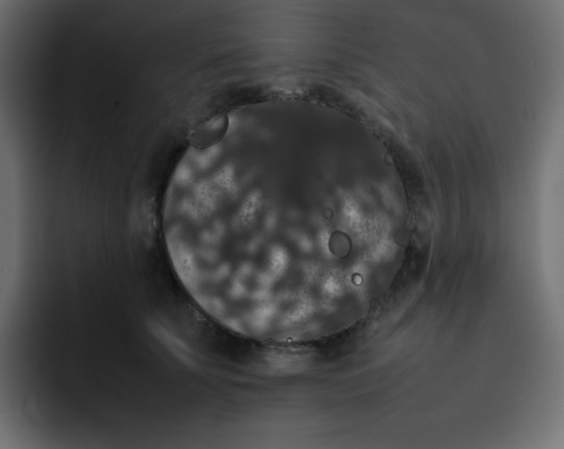 X0000092060707200710031101