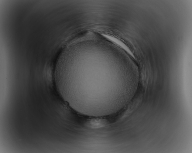 X0000092060708200710031100