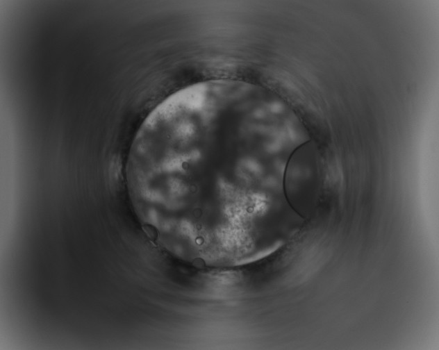 X0000092060711200710031100