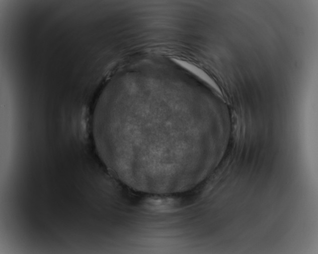 X0000092060712200710031100