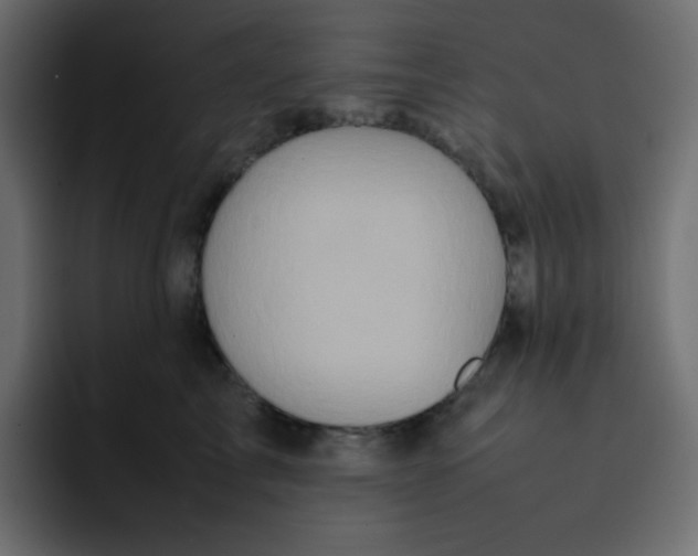 X0000092060713200710031100