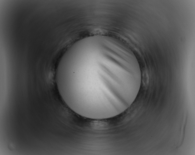 X0000092060714200710031100