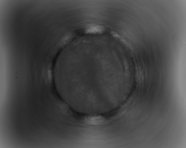 X0000092060716200710031100