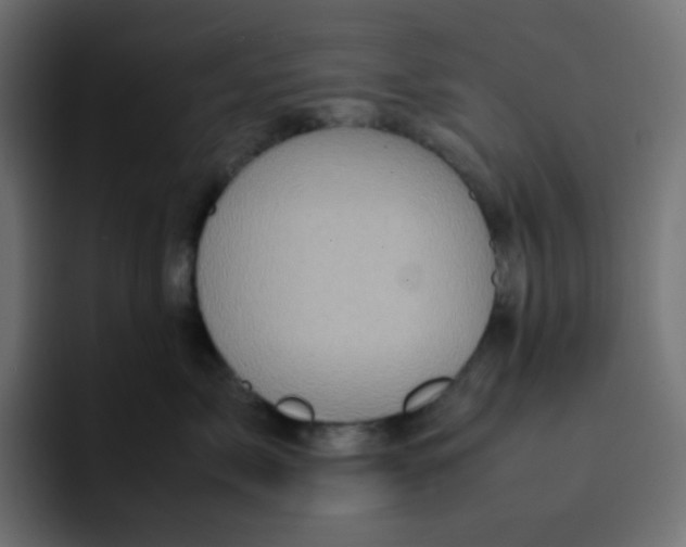 X0000092060717200710031100